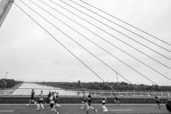 DP1_4942