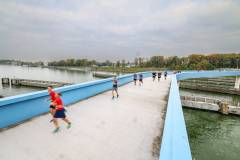 DP1_5290